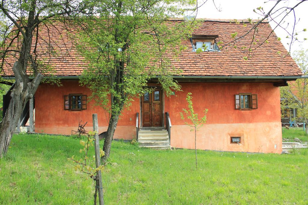 Ferienwohnungen Sonnenberg Ratsch an der Weinstrasse Exterior photo