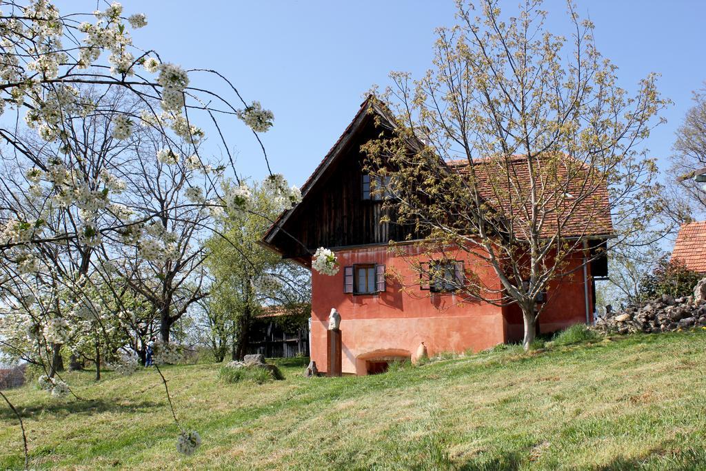 Ferienwohnungen Sonnenberg Ratsch an der Weinstrasse Exterior photo